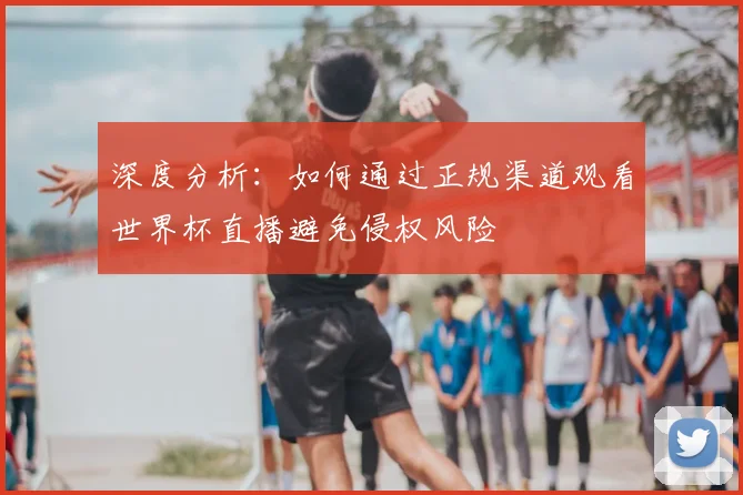 深度分析：如何通过正规渠道观看世界杯直播避免侵权风险