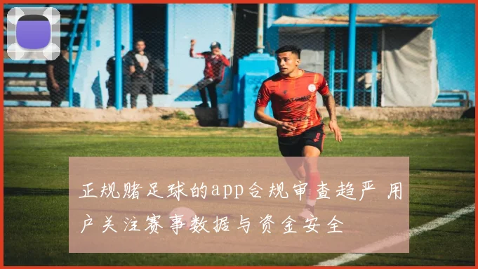 正规赌足球的app合规审查趋严 用户关注赛事数据与资金安全