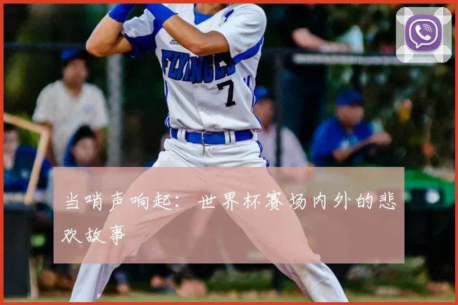 当哨声响起：世界杯赛场内外的悲欢故事