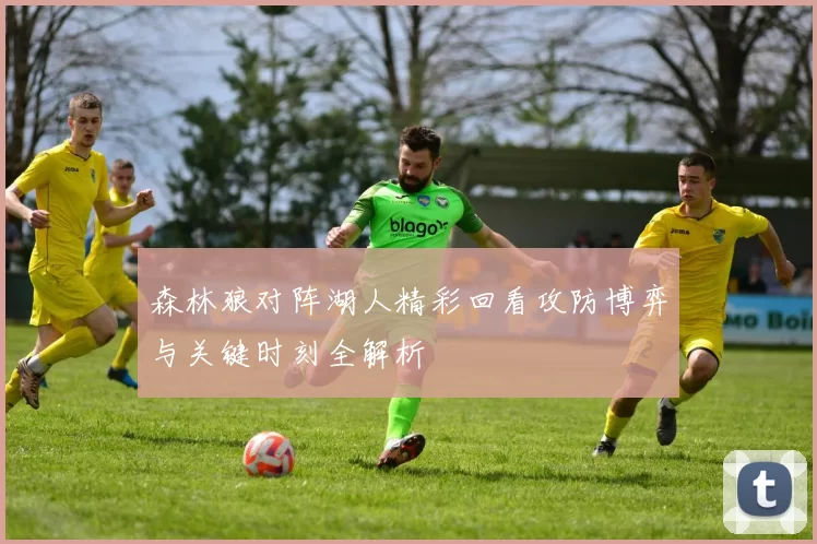 森林狼对阵湖人精彩回看攻防博弈与关键时刻全解析