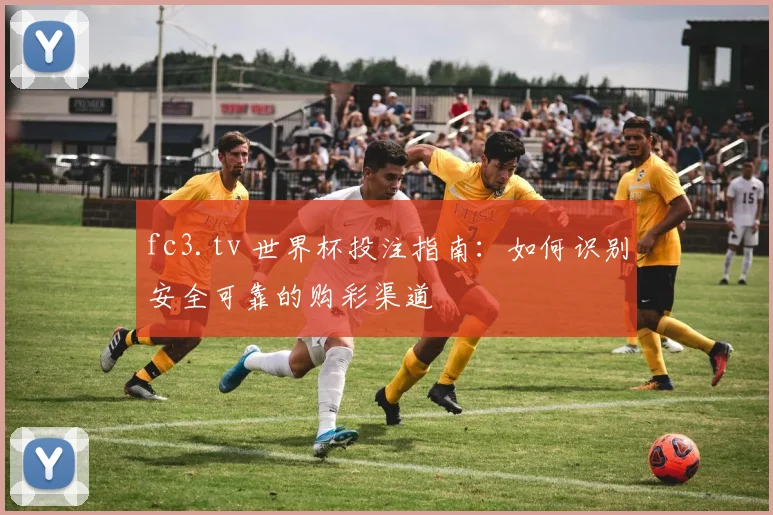 fc3.tv 世界杯投注指南：如何识别安全可靠的购彩渠道