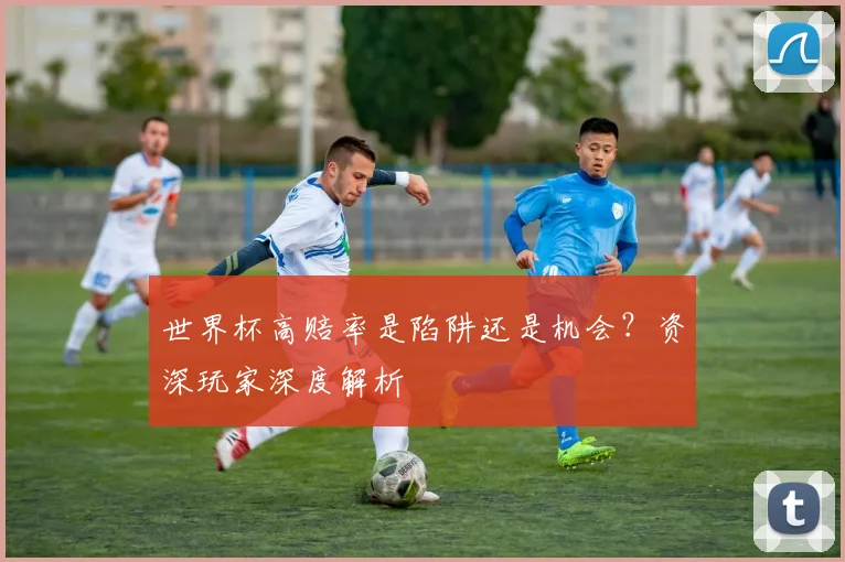 世界杯高赔率是陷阱还是机会？资深玩家深度解析