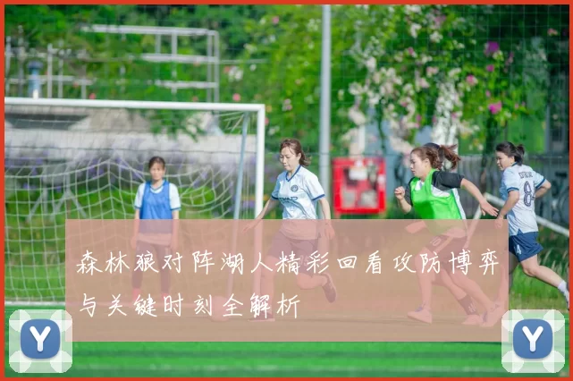 森林狼对阵湖人精彩回看攻防博弈与关键时刻全解析