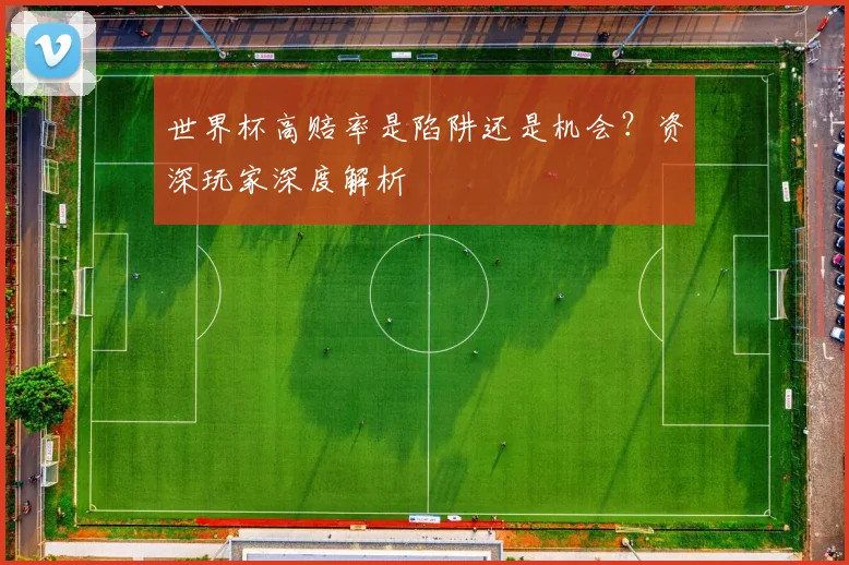 世界杯高赔率是陷阱还是机会?资深玩家深度解析