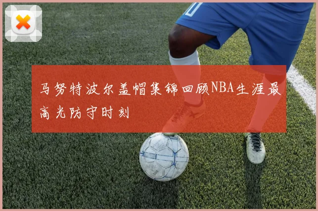 马努特波尔盖帽集锦回顾NBA生涯最高光防守时刻