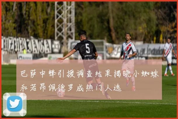 巴萨中锋引援调查结果揭晓小蜘蛛和若昂佩德罗成热门人选