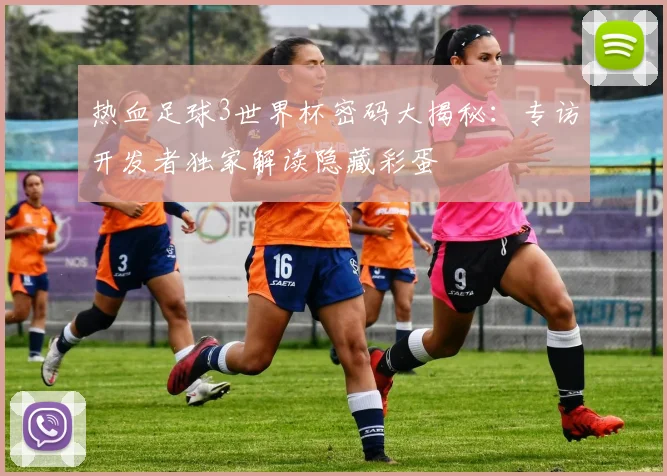 热血足球3世界杯密码大揭秘：专访开发者独家解读隐藏彩蛋