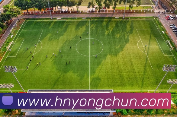 App Interface Preview